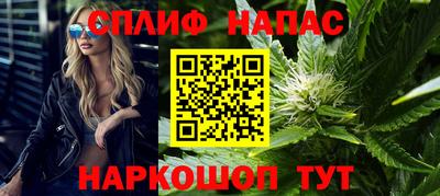 PSILOCYBIN Можга