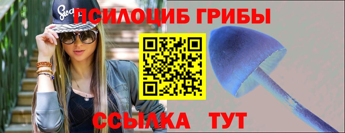 Псилоцибиновые грибы MAGIC MUSHROOMS  Вход с VPN  Старая Купавна 